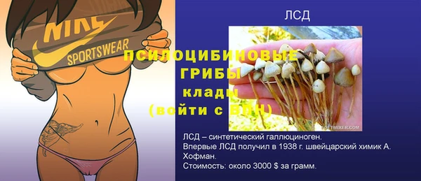 метадон Богданович