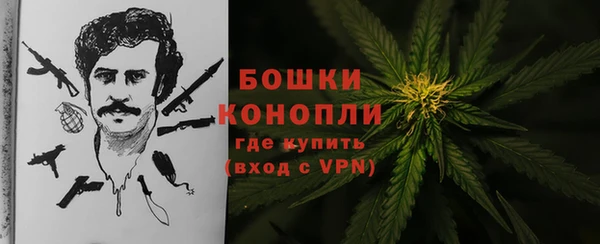 метадон Богданович