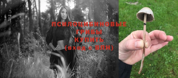 метадон Богданович