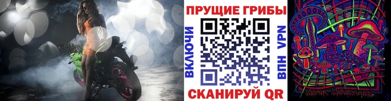 shop официальный сайт  Малоярославец  Псилоцибиновые грибы мицелий  магазин  наркотиков 