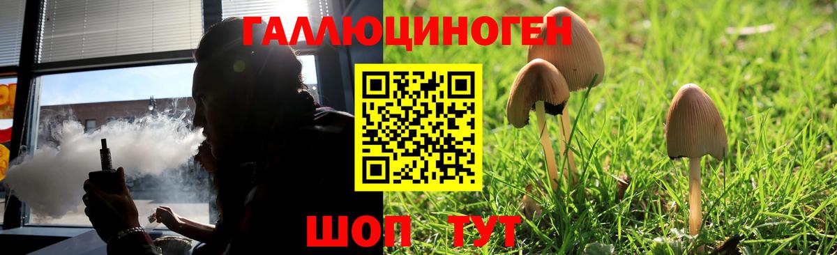 Галлюциногенные грибы Cubensis Малоярославец