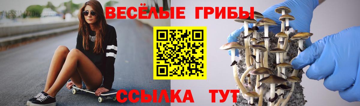 Псилоцибиновые грибы Cubensis  Галлюциногенные грибы GOLDEN TEACHER  Малоярославец  Вход с VPN 